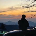 摇钱树的头像-摇钱术-爆甫创圈